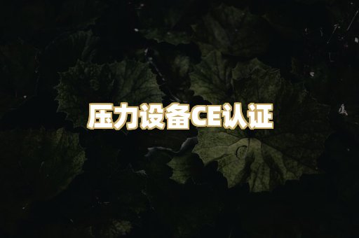 压力设备CE认证